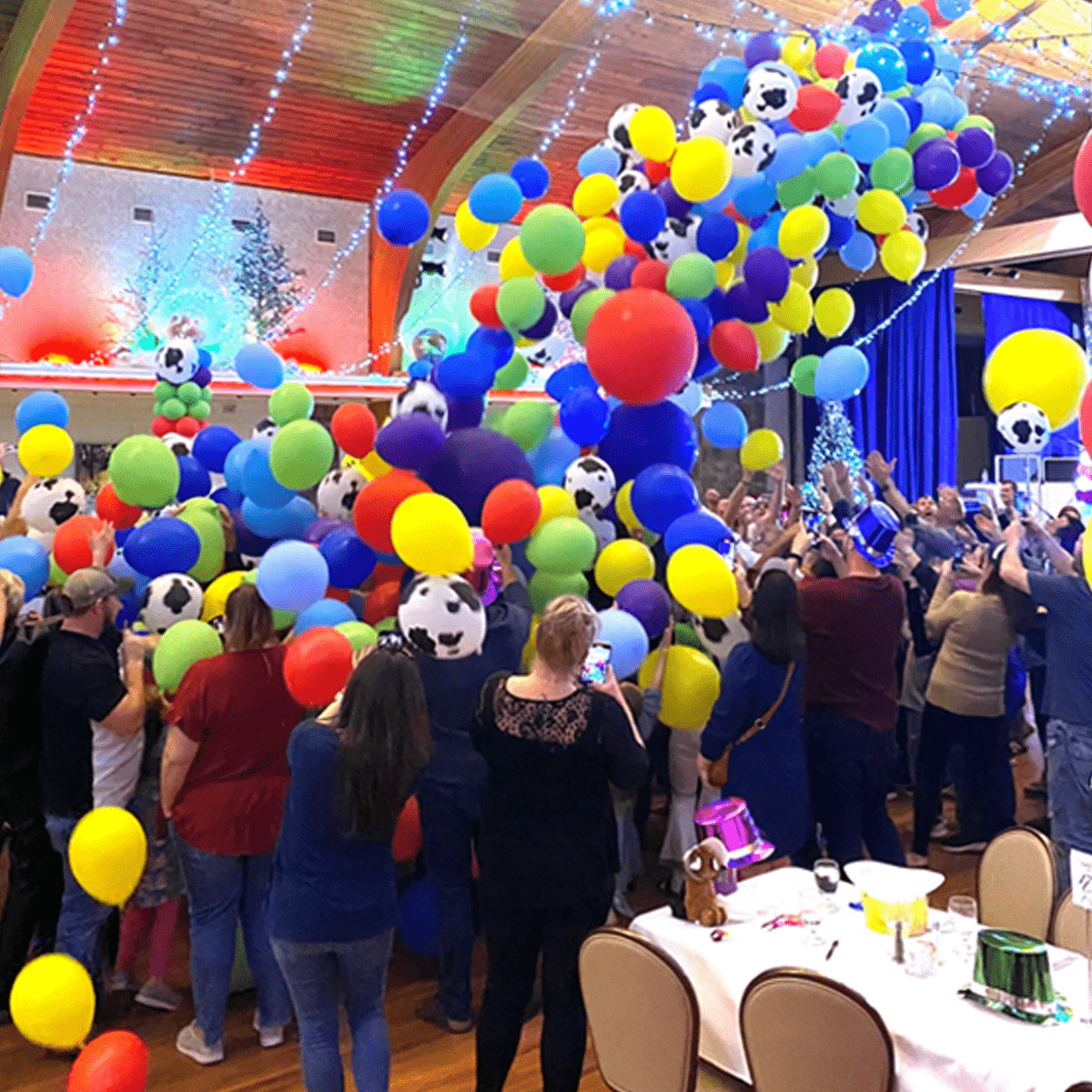 Party Balloon Drop